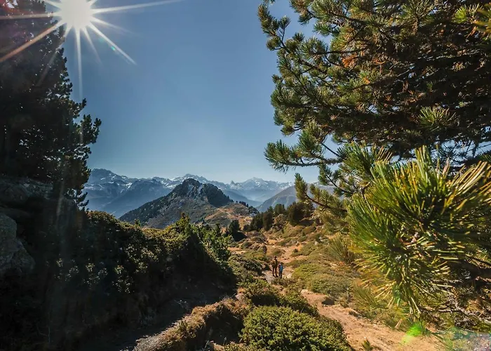 Daire Abendgloeckli Sued West