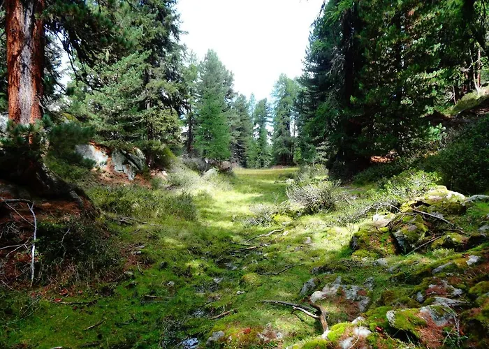 Abendgloeckli Sued West Bettmeralp