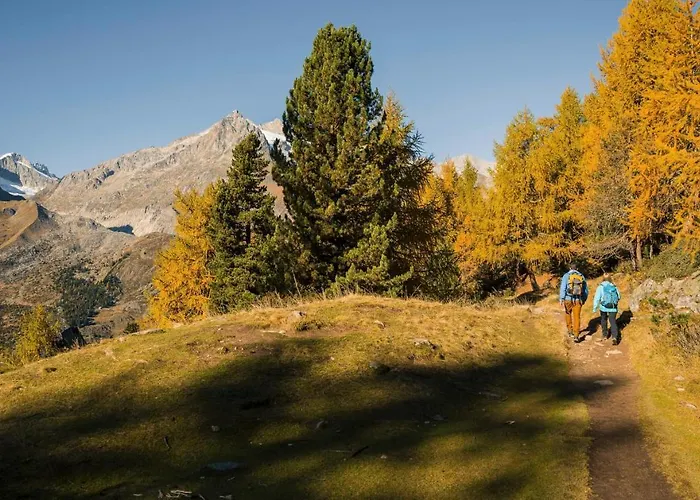 Abendgloeckli Sued West Daire Bettmeralp