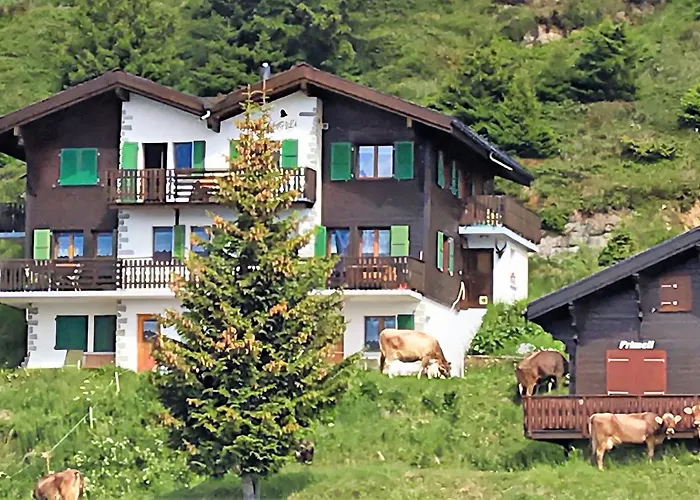 Daire Abendgloeckli Sued West Bettmeralp