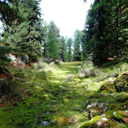 Abendgloeckli Sued West Bettmeralp