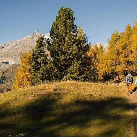 Abendgloeckli Sued West Lejlighed Bettmeralp