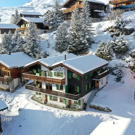 Apartment Abendgloeckli Sued West Bettmeralp